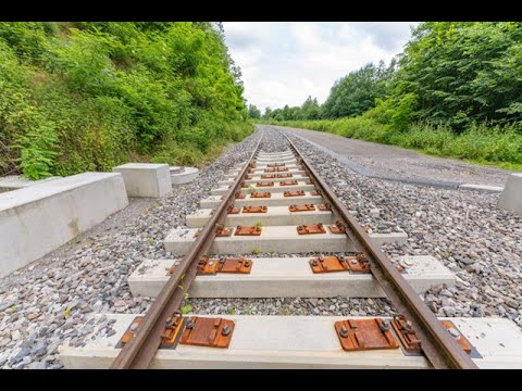 𝗛𝗲𝗿𝗺𝗮𝗻𝗻-𝗛𝗲𝘀𝘀𝗲-𝗕𝗮𝗵𝗻: 𝗦𝗼 𝗴𝗲𝗵𝘁’𝘀 𝘄𝗲𝗶𝘁𝗲𝗿! ⚡