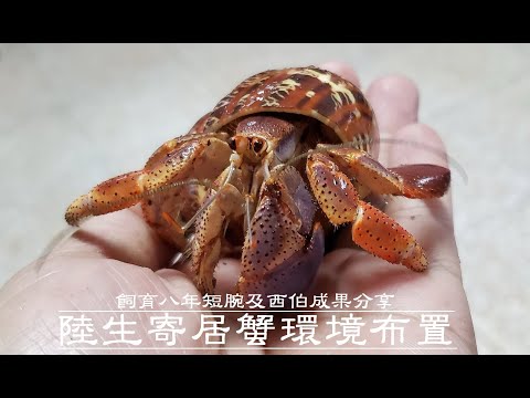 林聖軒