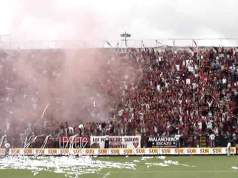 "La 12 alajuelense" Barra: La 12 &bull; Club: Alajuelense