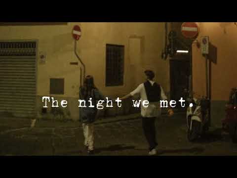 [playlist] the night we met .