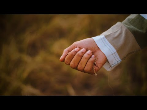 Axel, Young King — COLHEITA 🌾