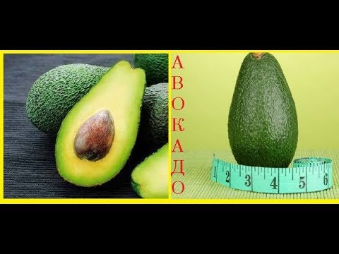 Avocado - Helps in losing weight and not only: 30 useful and 6 harmful properties! / Bon Appetit