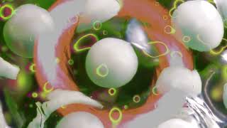 FERRy corsten - Transation