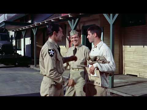 Der Zirkusclown - Spielfilm - Dean Martin/Jerry Lewis - 1954 - FHD