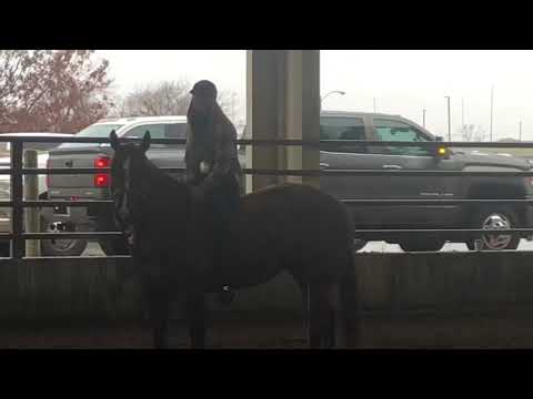 Emerson, bareback on Maggie