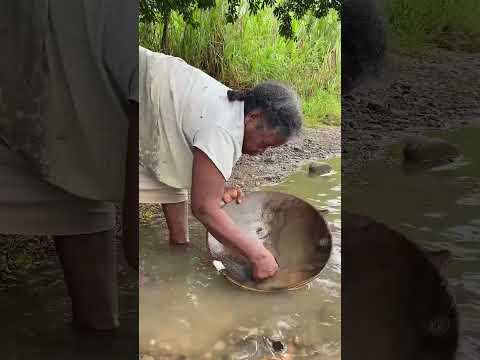 Mazamorreo #mujeres #tado #minería  #chocó