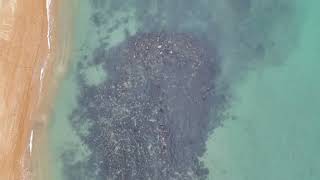 Ventnor beach offshore reefs