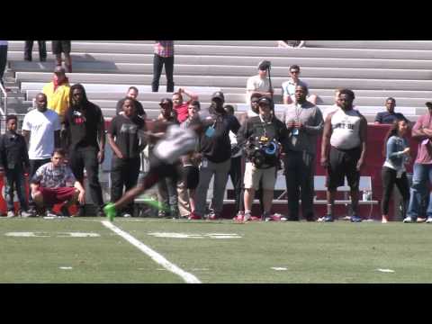South Carolina Pro Day 2016