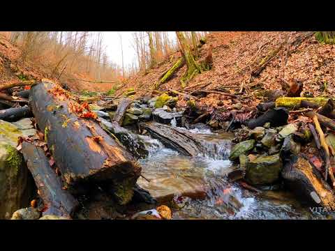 Oregon in 8K ULTRA HD - Most Beautiful State in USA (60FPS)