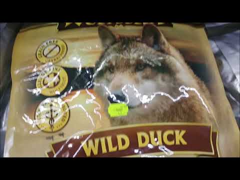 Hunde-Trockenfutter Vergleich: Welches ist zu empfehlen?