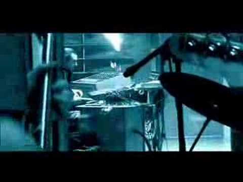 Zwykły dzień - Kuśka Brothers