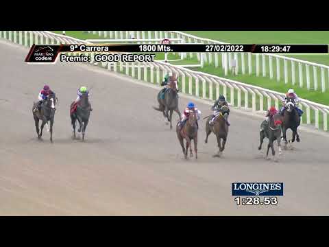 220227 c09 Good Report/ TOPO DO SUL