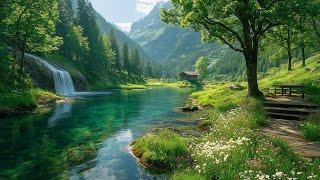 Download lagu Healing Music for The Heart and Blood Vessels 🌿 Relaxing Piano & Violin, Calms The Nervous System mp3