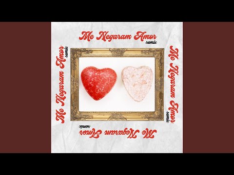 Me Negaram Amor (Remix)