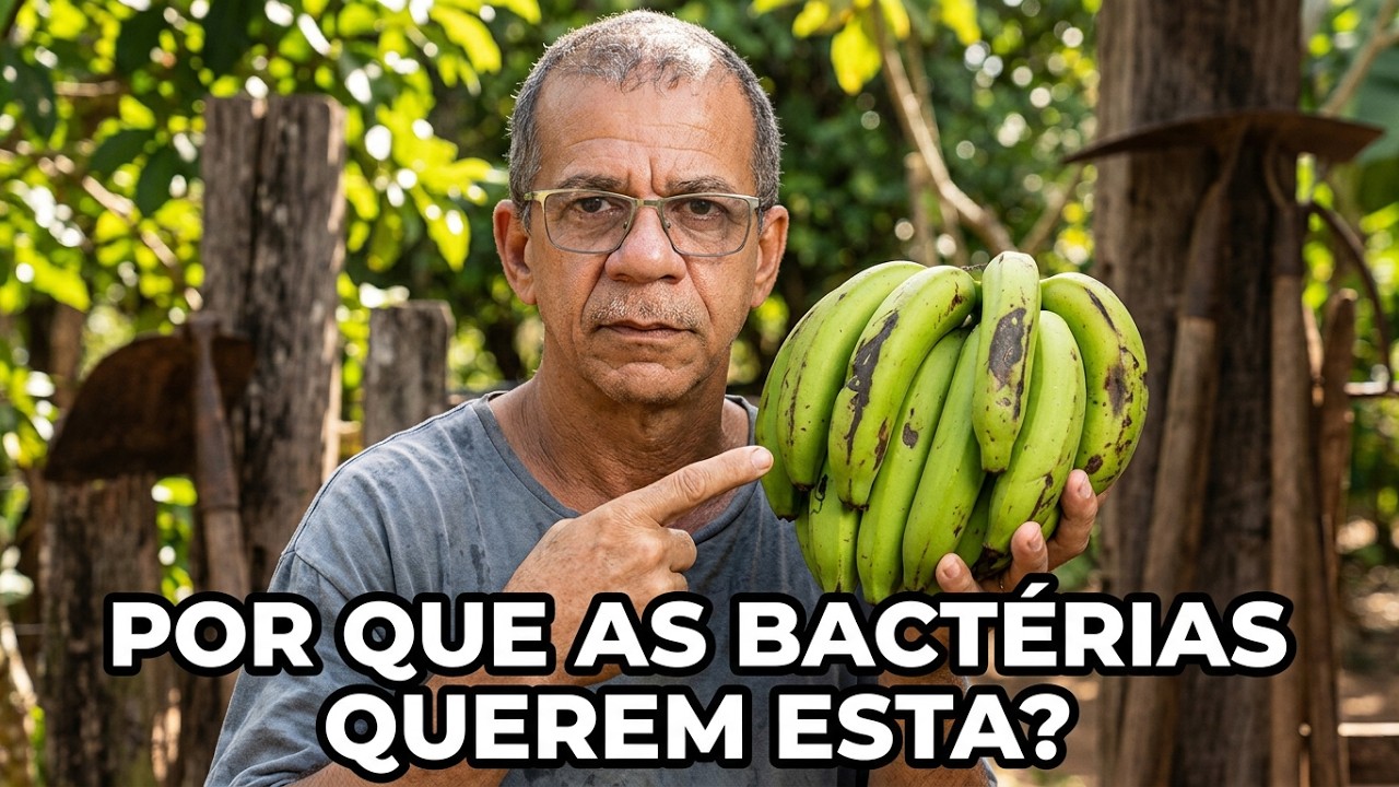 A minha banana é a mais saudável