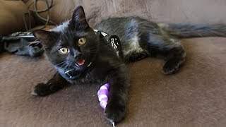 EVE PLAY WITH SLOW-MO FAILS! (Slow Awakening - Gone Is Gone)