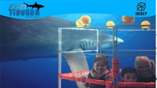 DIA 2 Expo Tiburon59