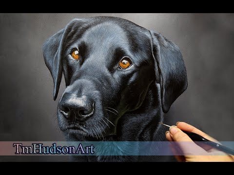 How to paint a realistic black labrador in acrylic