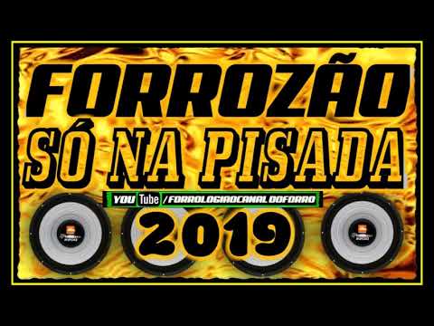 FORROZÃO SÓ NA PISADA 2019 - REPERTÓRIO NOVO - CD COMPLETO