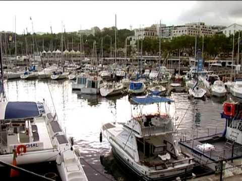 Madeira e a Festa da Flor