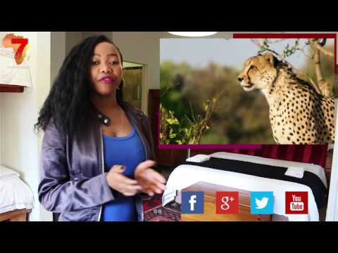 Domba Guest Lodge   Business Travel Destination   Komatipoort