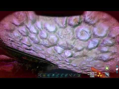 Ark. reaper queen impregnation and birth