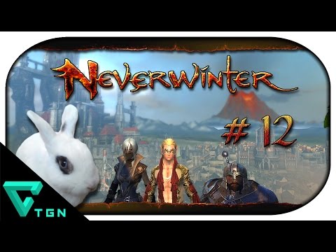 Neverwinter Online #12 - Mit Führerschein und Führungszeugnis ► Neverwinter: Rise of Tiamat