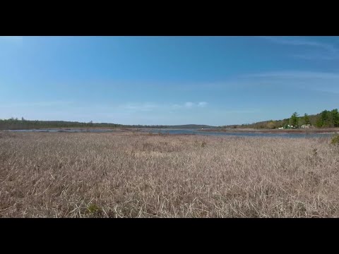 The Trails of Grass River Natural Area -- A 4K 360 VR Experience