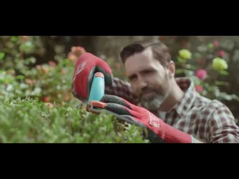 BAU MARKET Bau, Shembull.