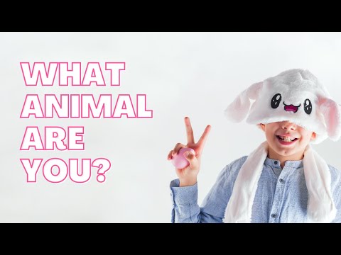 Which animal are you? Quiz Video