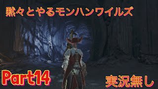 初見で黙々とやるモンスターハンターワイルズ　実況無し　part14