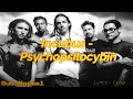 Incubus - Psychopsilocybin "Subtitulado/Lyrics"