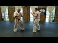 Judd Reid Dean Booth Kyokushin Karate Thigh Kick Variation Demonstration