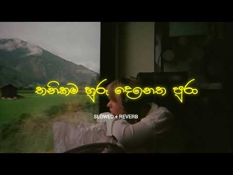 Thanikama Huru Denetha Puraa | තනිකම හුරු දෙනෙත පුරා ( Slowed + Reverb )