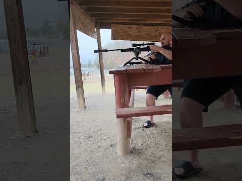 #Sunday Gunday: Savage Impulse Hog Hunter