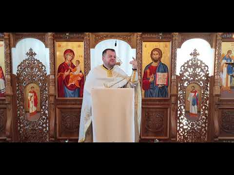 Părintele Dan Iluța-O femeie care a știut ce vrea(Duminica a XVII-a după Rusalii-femeia cananeeancă)