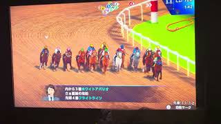 ダービースタリオン2 スイッチ2 ブリーダーズカップクラシック挑んでみた❗️#ダービースタリオン2