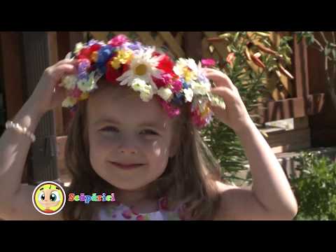 Alexandrina Frunză - Multe flori / SCĂPĂRICI /