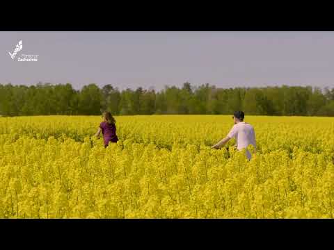 Rowerem przez Pomorze Zachodnie – Trasa wokół Zalewu Szczecińskiego