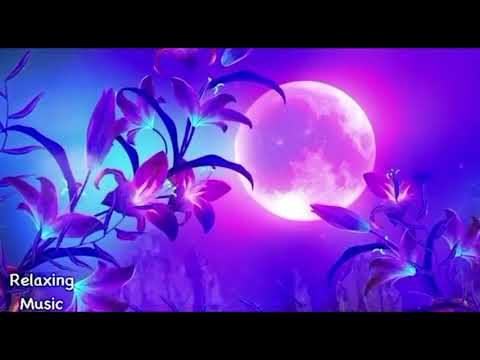 Night Blooms. A Lunar Symphony