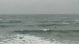 preview picture of video 'la couronne - spot de surf et bodyboard - session du 01-02-2009'