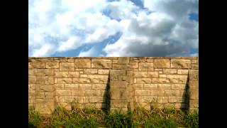 Michael Reich on confess