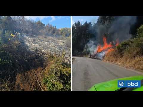 Bombero voluntario provocó incendio forestal en Pocochay, Valparaíso // Noticias.lat
