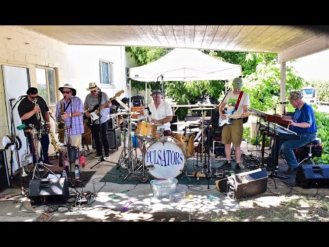 The Pulsators: 2019 Big Valley Music Fest, Set 1