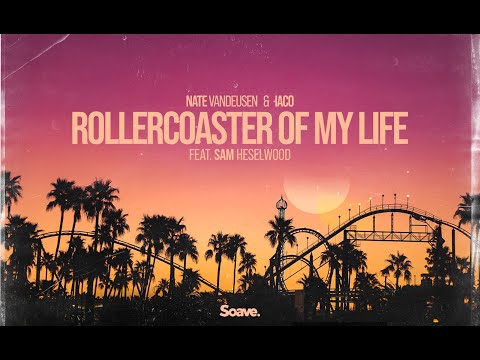 Nate VanDeusen, Iaco - Rollercoaster of My Life (feat. Sam Heselwood) Lyric Video.
