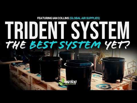 IWS Trident Pro Setup & Pro Tips (with Ian Collins from Global Air Supplies)