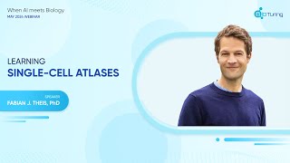 When AI Meets Biology Webinar | Learning single cell atlases, by Prof.Dr. Fabian Theis