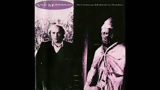 Van Morrison ‎– No Guru No Method No Teacher - Ivory Tower