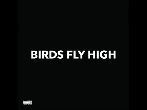 LIONAIRE - Birds Fly High (feat. 2Scratch)