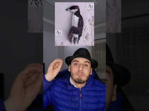 قصة البطريق الحزينة البطريق 🐧 نهاية مؤلمة في الجليد 💔 #قصة